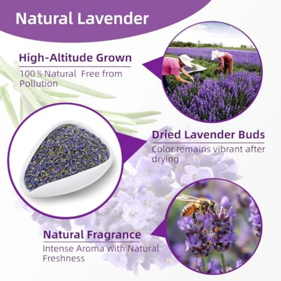 36 Pack Lavender Sachet Bags - - Home Fragrance In French のレビューと価格